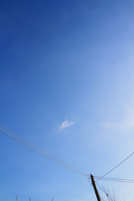 Spring blue sky