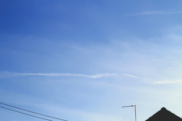 Spring blue sky