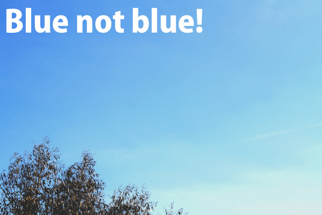 Spring blue sky
